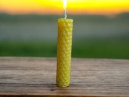 Hand rolled Pure Beeswax Pillar Candles, Decorative ,Honeycomb Shaped Pack Of 21